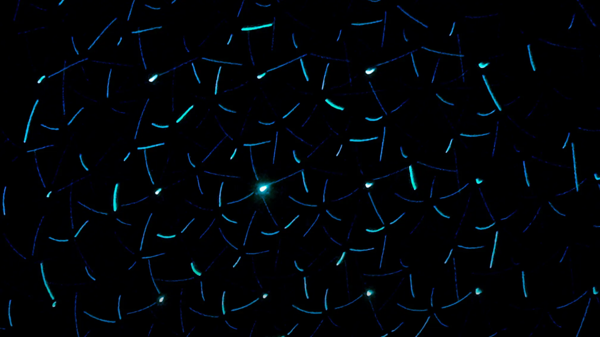 Hero Image for Video: Building Digital Experiences Around Your Data