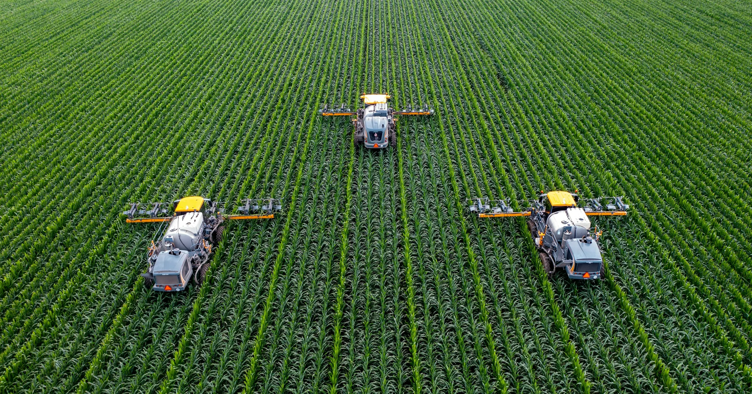 Hero image for Driving transformation from 
traditional to digital business